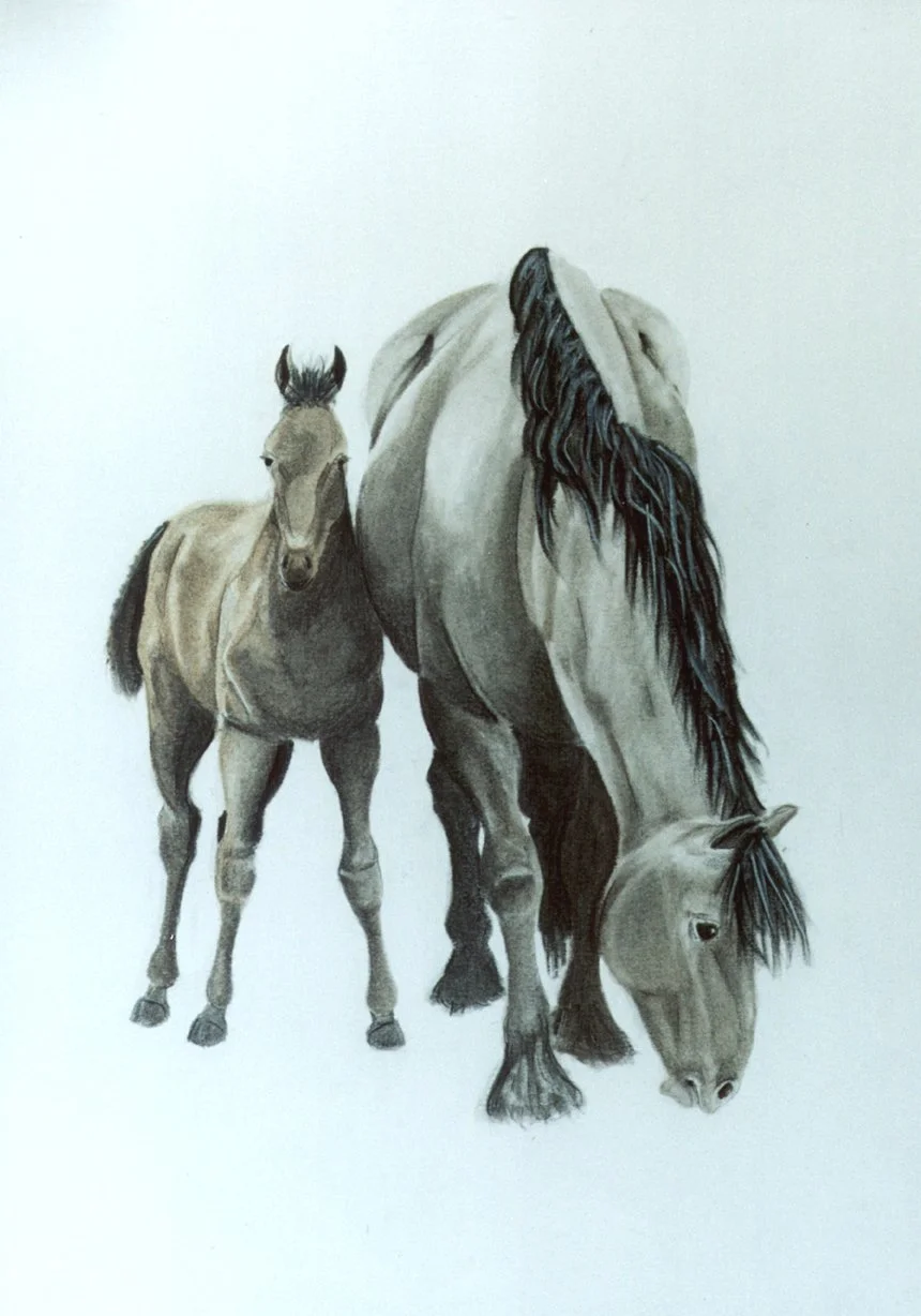 29 X 41cm-Chalk on white paper 2000.jpg