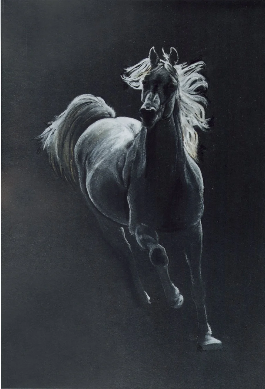 21 X 31cm-Pastel on black paper 2000.jpg