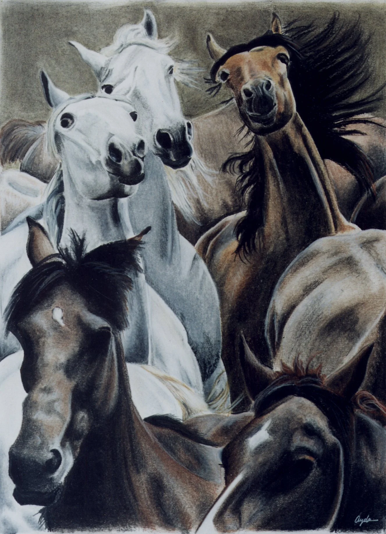 28 X 38cm-Pastel and pencil on white paper 2001.jpg