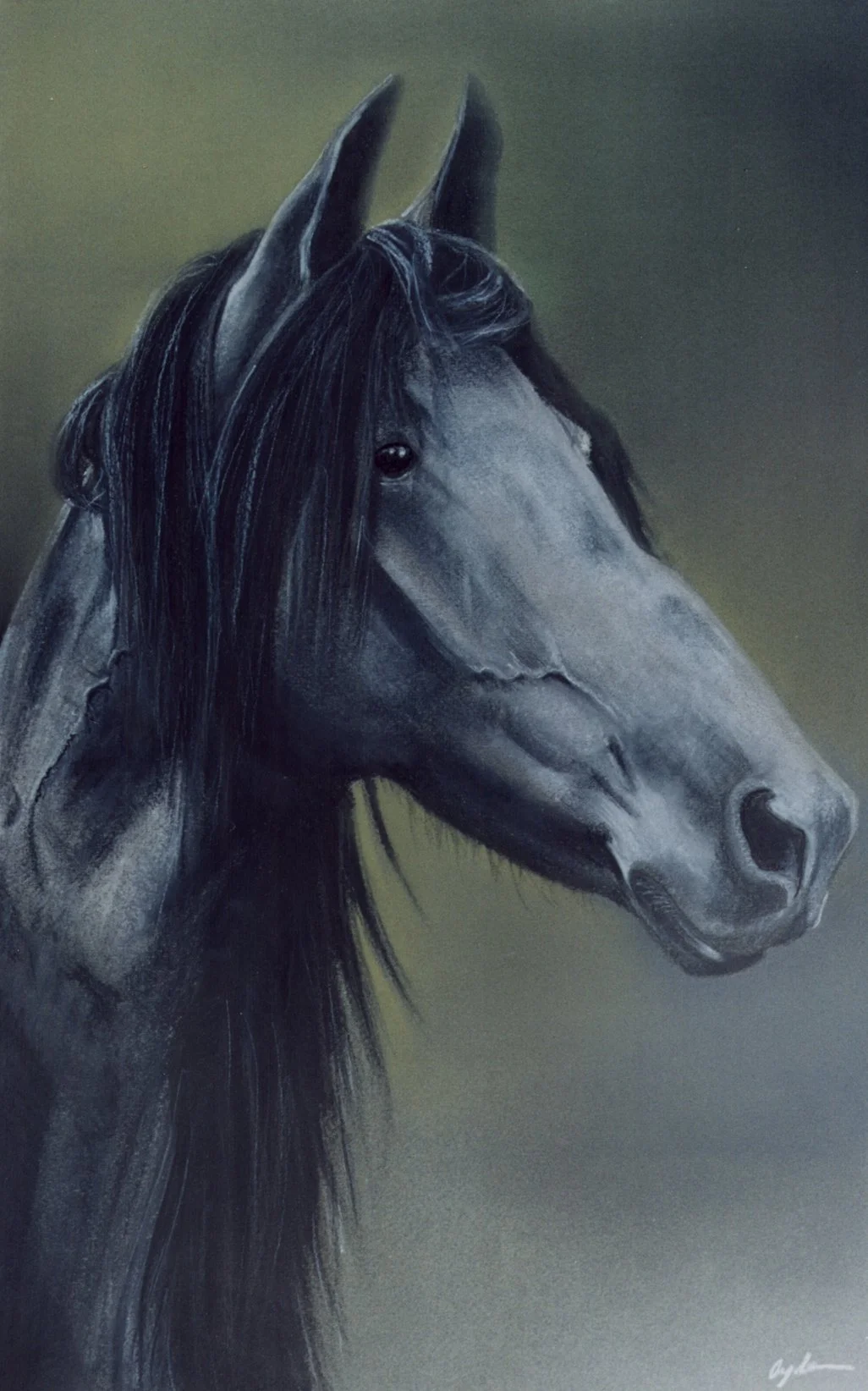 30 X 40cm-Pastel and chalk on green paper 2001.jpg