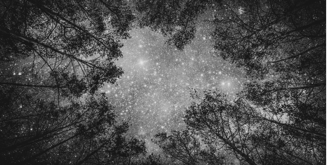 Endless Night: When Starlight Becomes a Guiding Light