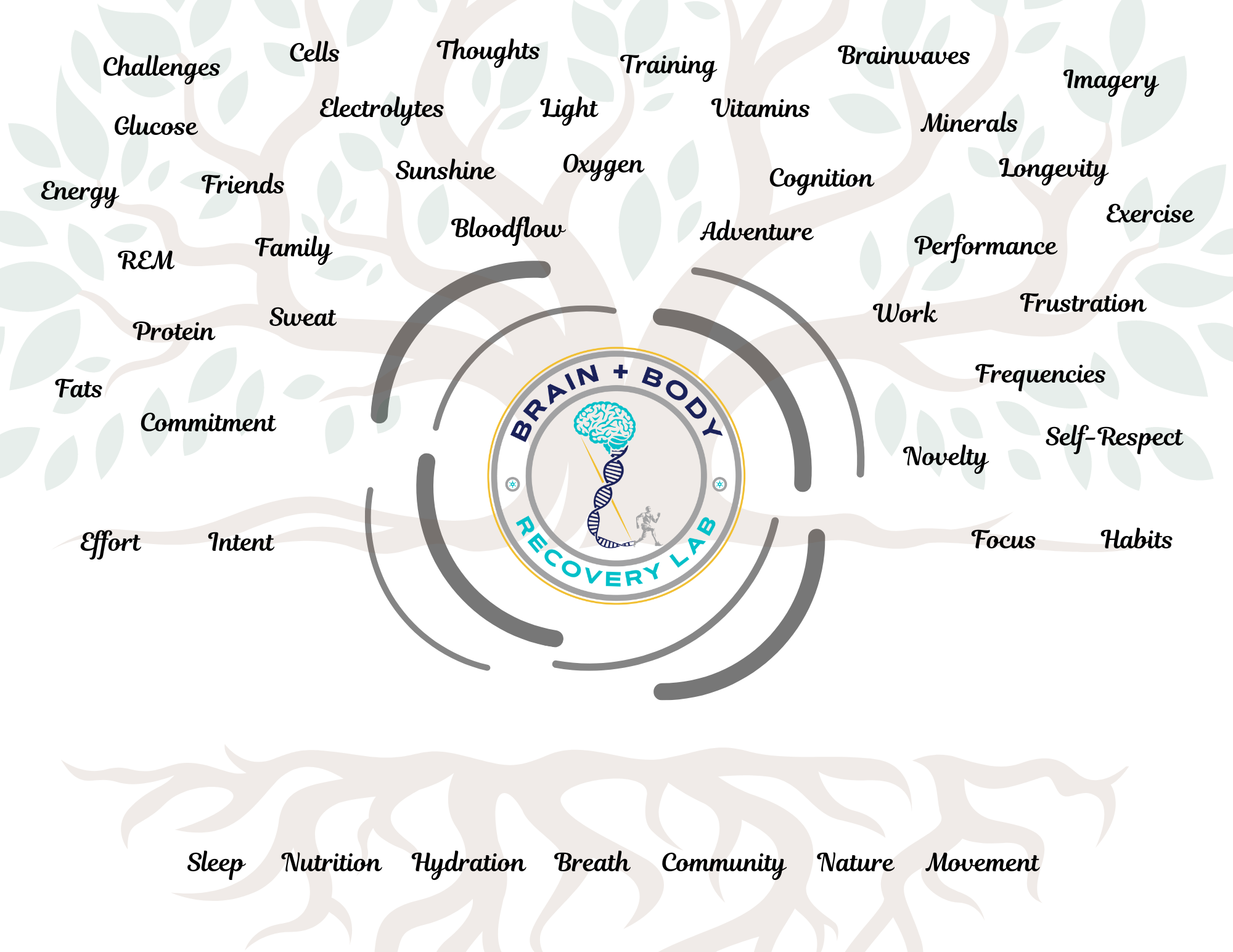 Evergreen Brain & Body Recovery Lab