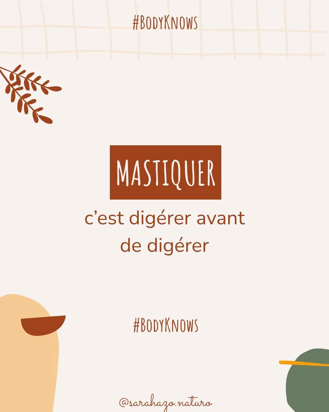 Tu veux am&eacute;liorer ta digestion sans changer ton assiette ?
Commence par ce que tu fais avant m&ecirc;me d&rsquo;avaler.
🟣La mastication, c&rsquo;est le signal de d&eacute;part de tout le processus digestif.
Sans elle : moins d&rsquo;enzymes, 