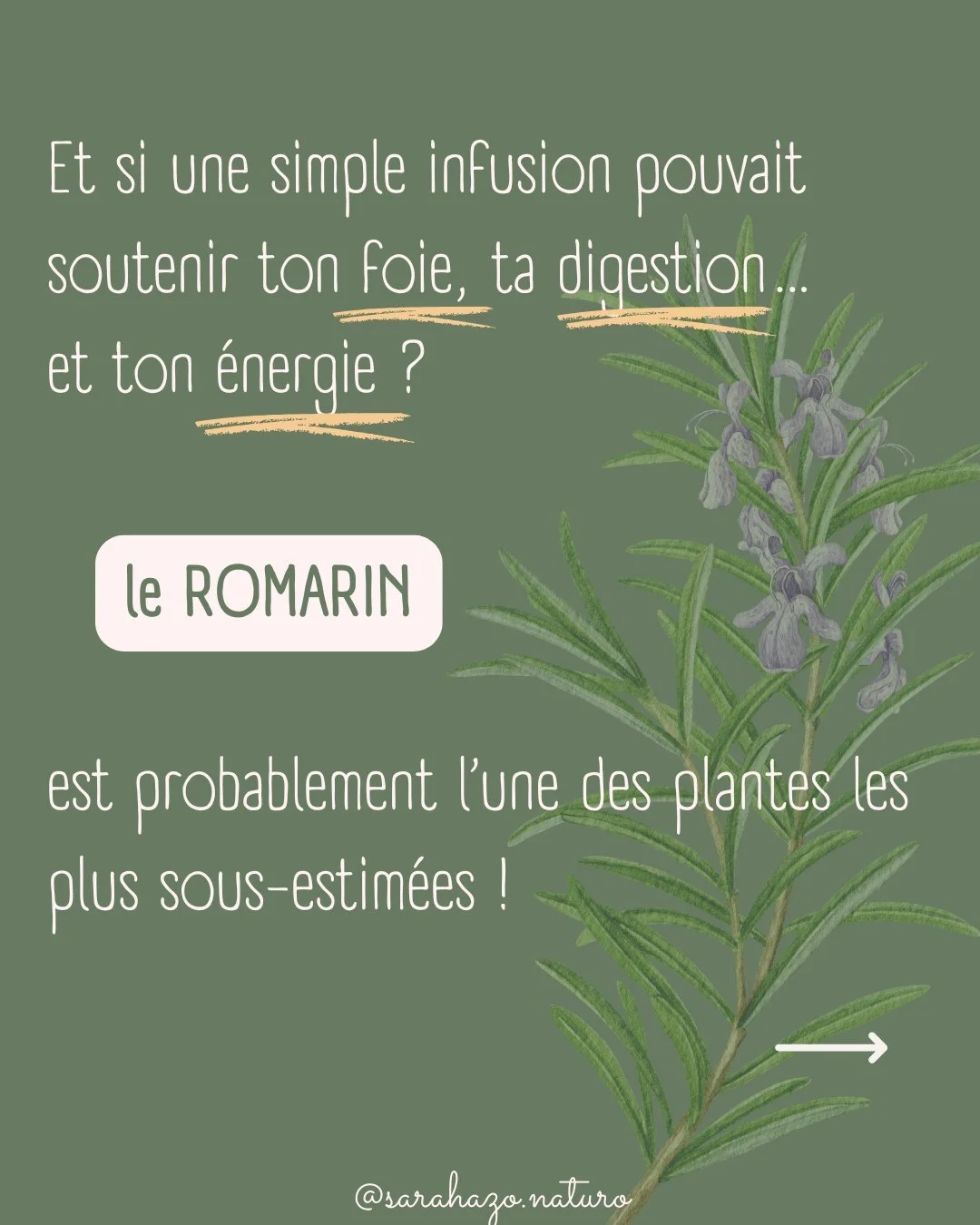 🌿Le romarin : bien plus qu&rsquo;une simple herbe aromatique&hellip;

Si tu te sens fatigu&eacute;(e), que ta digestion est lente, que ton mental tourne en boucle ou que tu as l&rsquo;impression d&rsquo;avoir le cerveau &ldquo;dans le brouillard&rdq