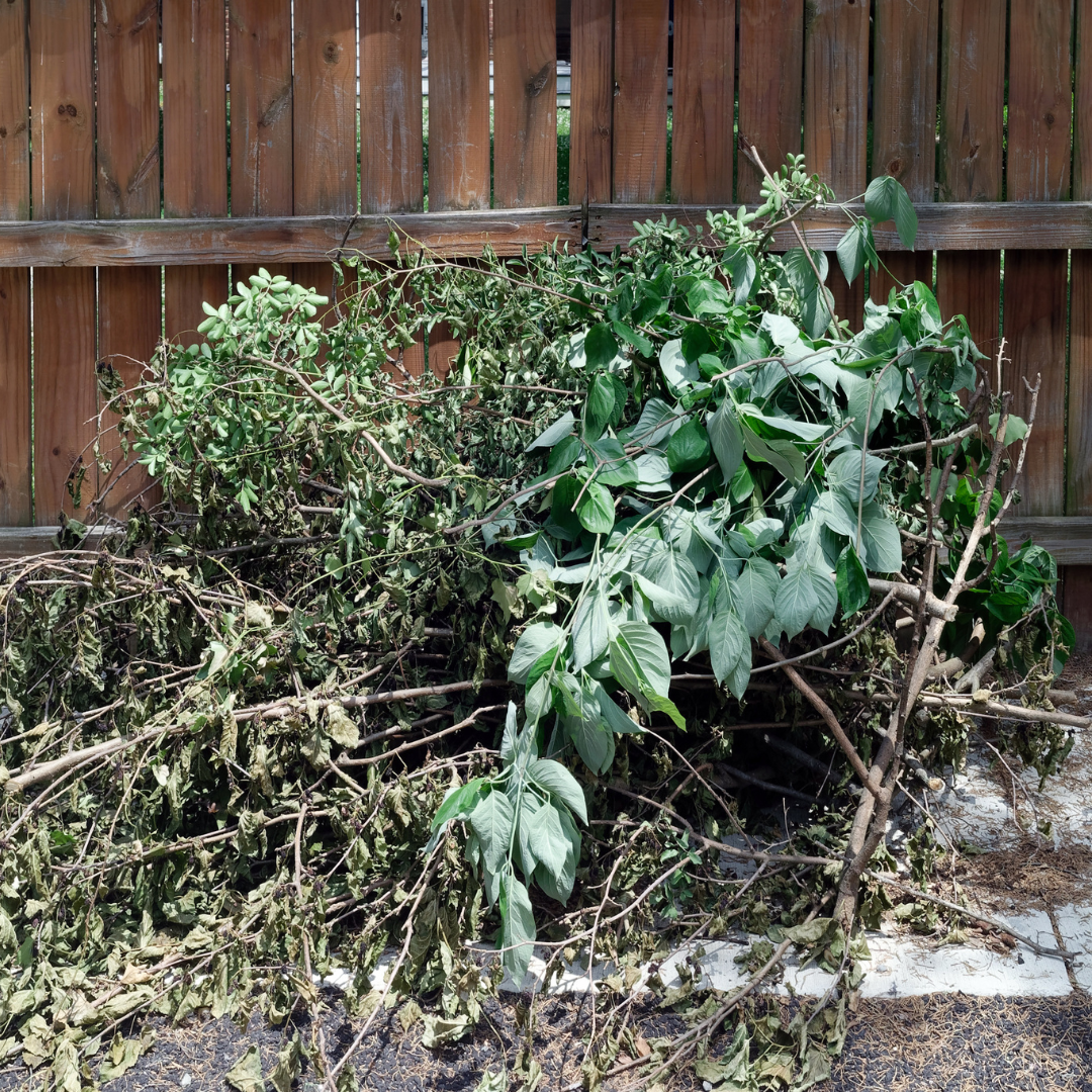 Fallen branches and leaves piled against a wooden fence
