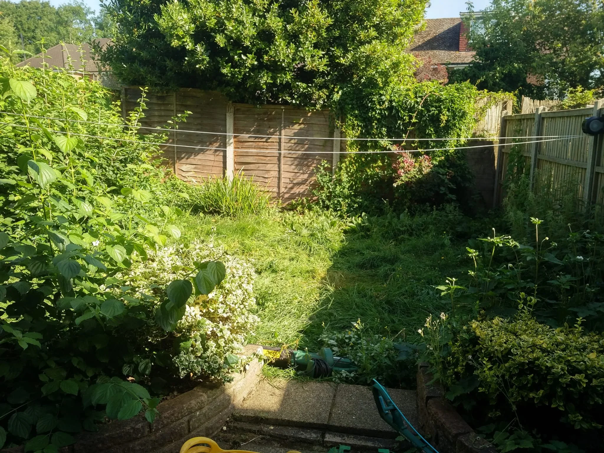 f0a59f64-5d10-4259-81f7-20e752da8934 2.JPG