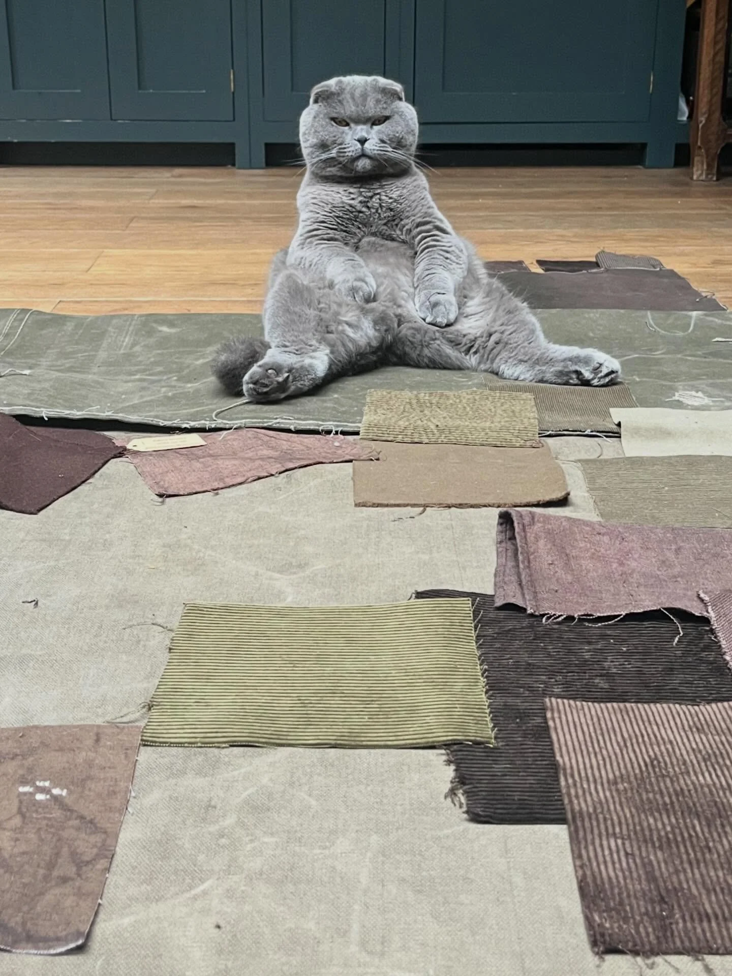 New project meeting yesterday to work out material choices for seating, curtains &amp; fabric walling for a commercial job that is going to be seriously sexy. I have no complaints about who I work with! 🩶🥲 thank you Universe 🪐&amp; Box 9 @box9desi