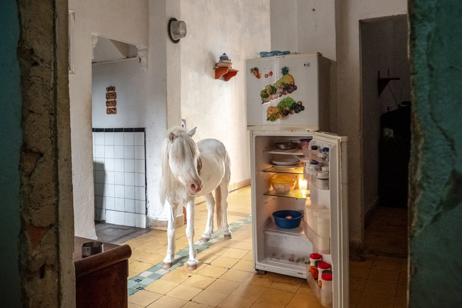 Booth Talk: Daniel Malikyar