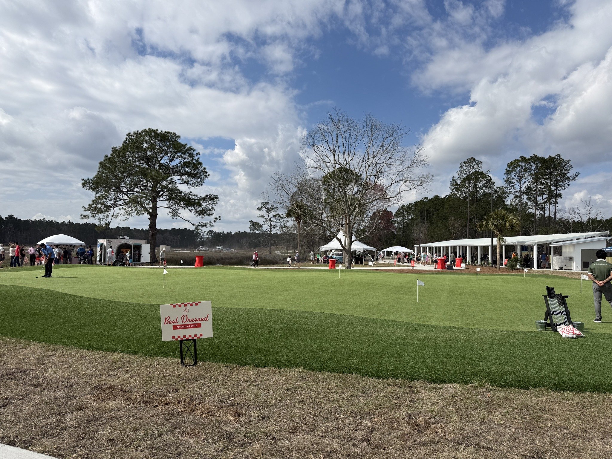 20x20 Pine Royal.jpg