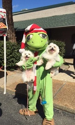 Person in a green frog costume with glasses, wearing a red and white Christmas hat, holding two small white dogs outside near a building.