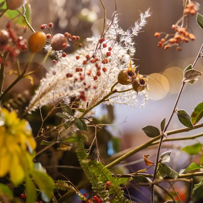 Close-up of various autumn leaves, berries, and dried plants in warm lighting.