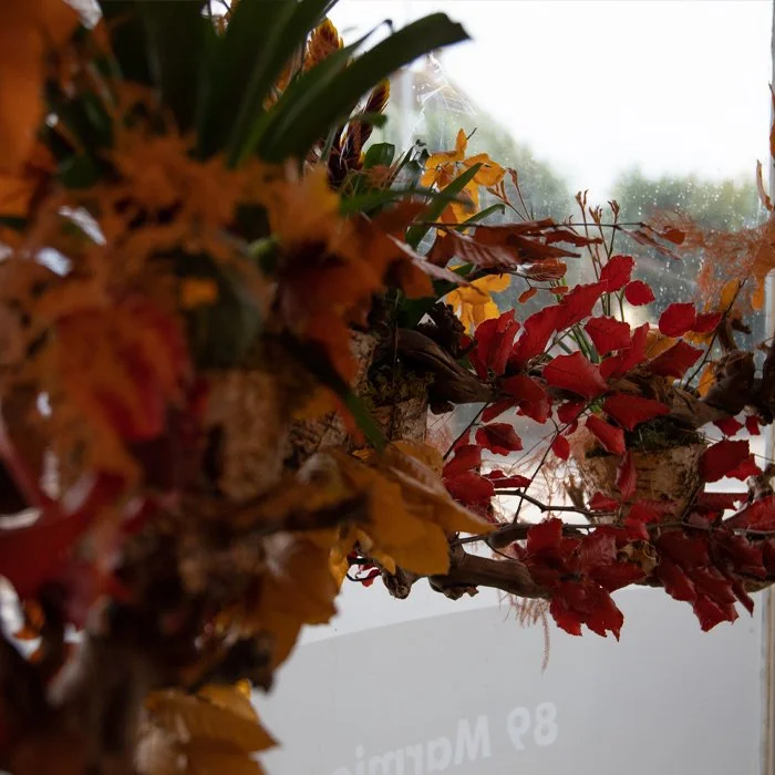 Arrangement of autumn leaves and plants with red, orange, and yellow foliage on a windowsill, viewed indoors with rain-streaked window in the background.
