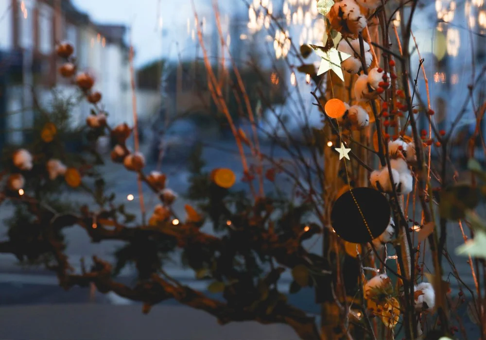 Decorative holiday lights and ornaments hanging on a branch with snow on it, during dusk.