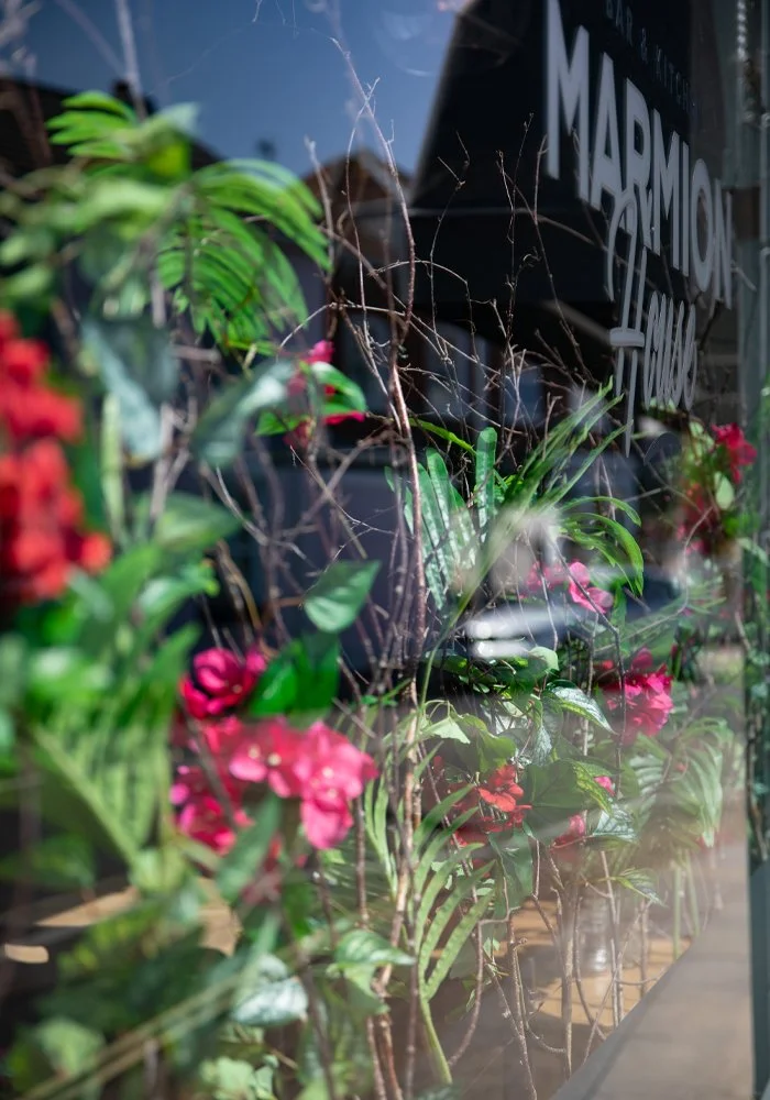 Store window decorated with green plants, pink flowers, and brown twigs, with a black sign that has white text.