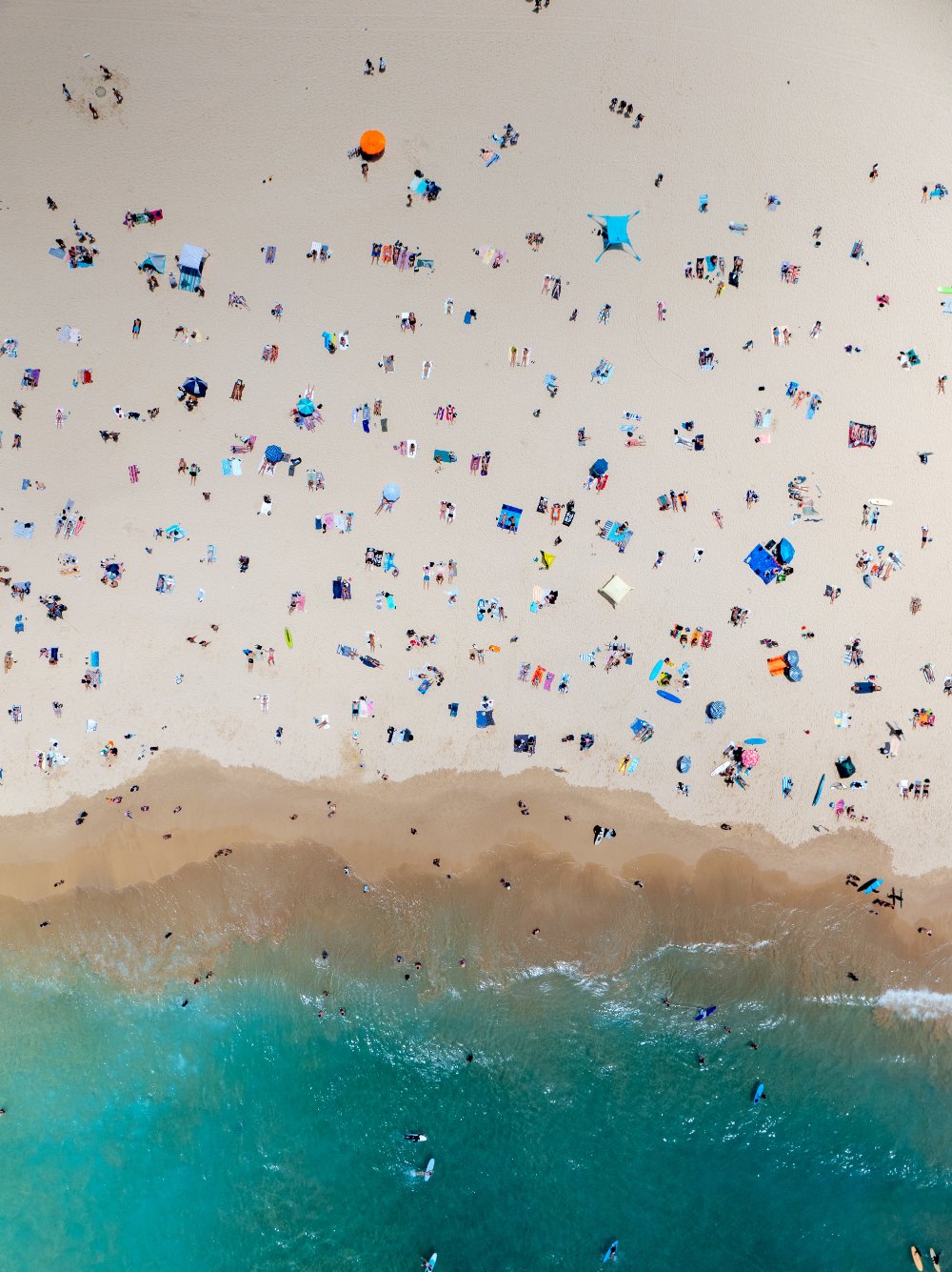 DJI_20240103125922_0393_D.jpg