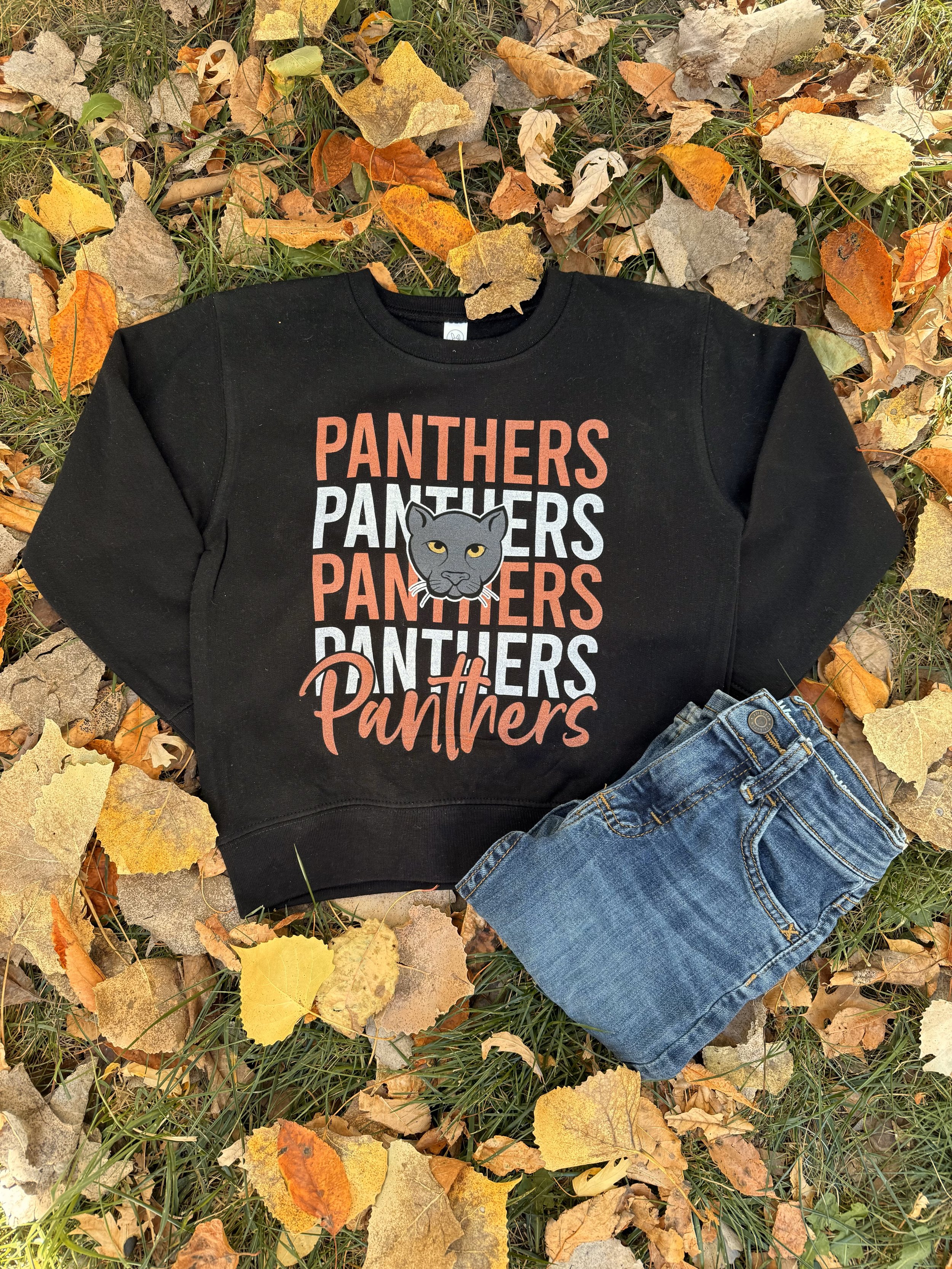 Panthers Panthers Panthers.jpeg