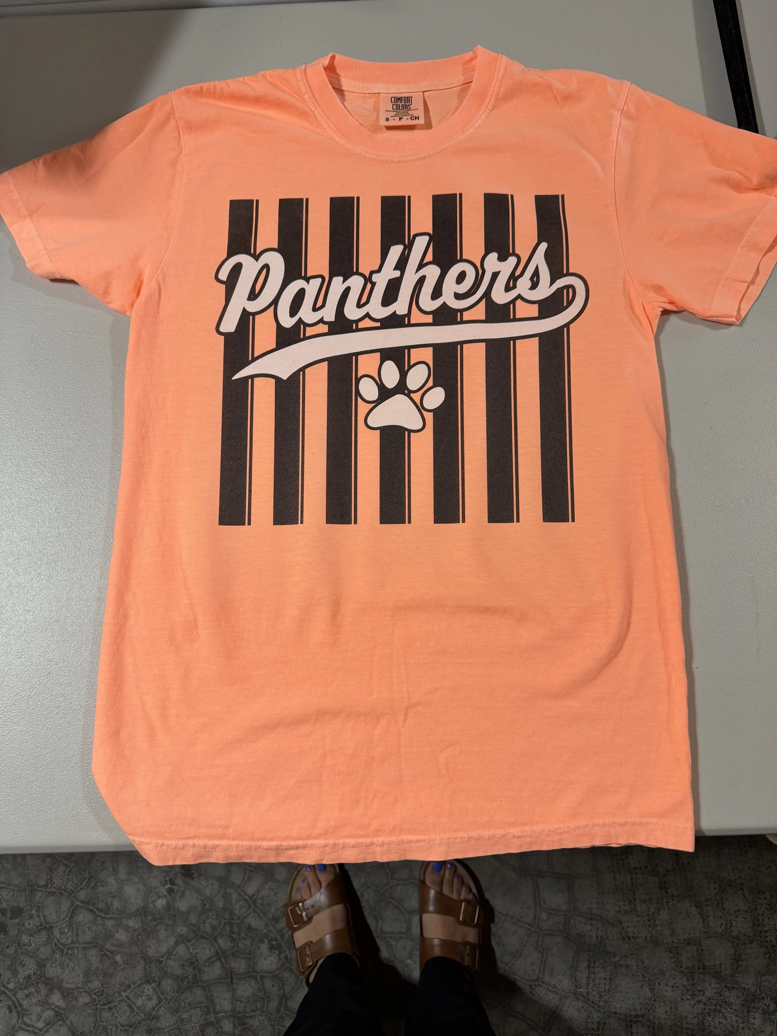 Panthers Striped Tee