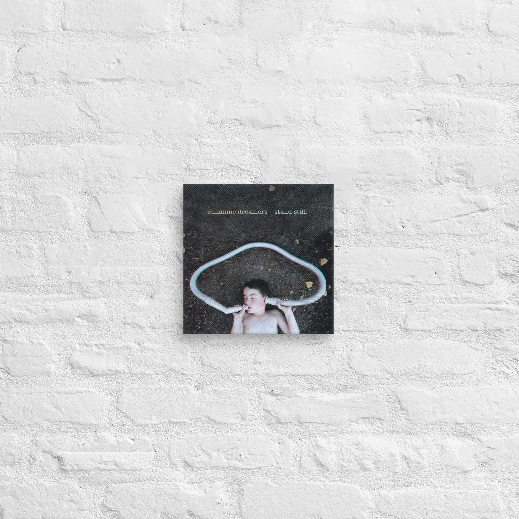 canvas-(in)-10x10-front-6723a70c0adac.jpg