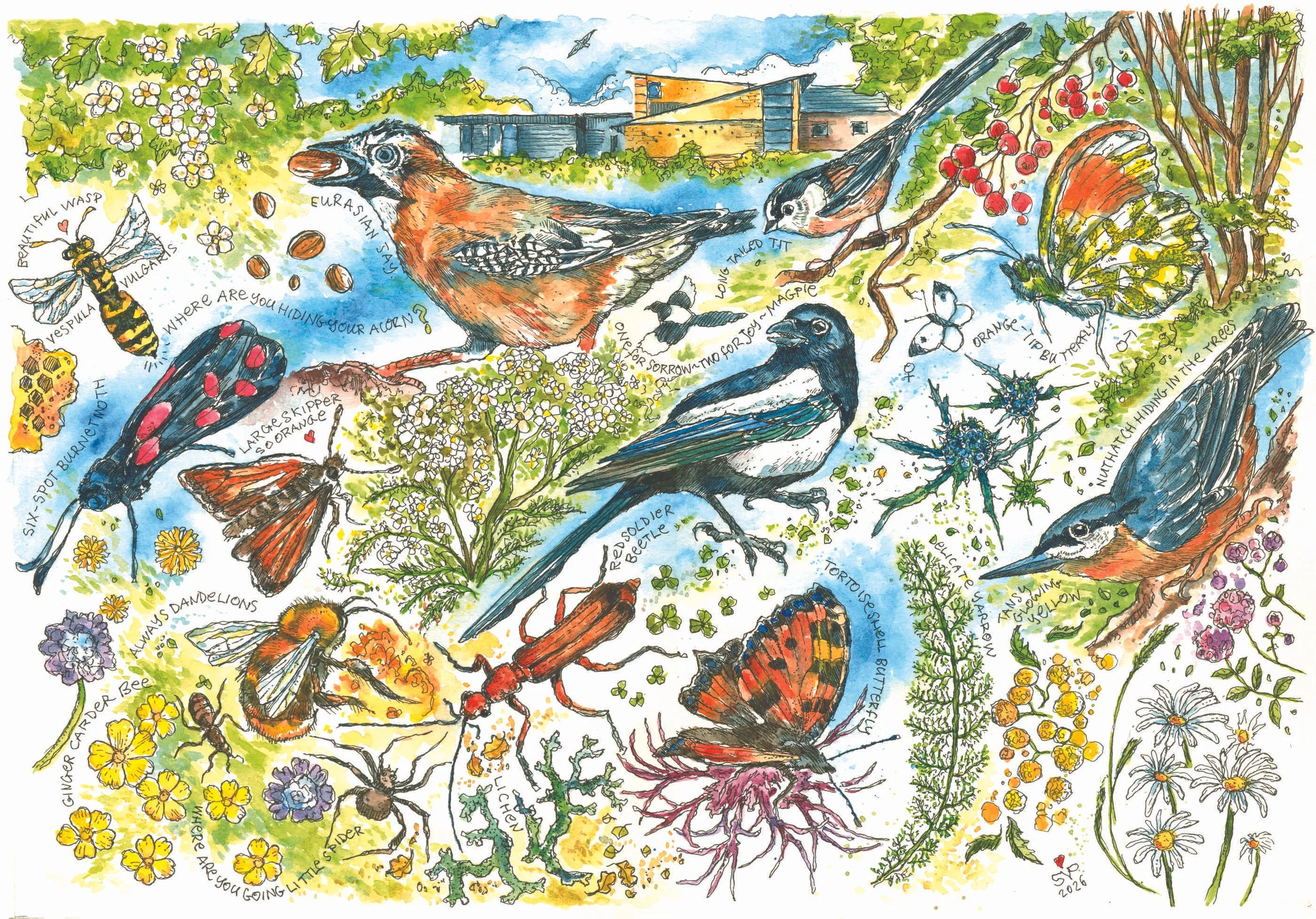 Illustration & Drawing
