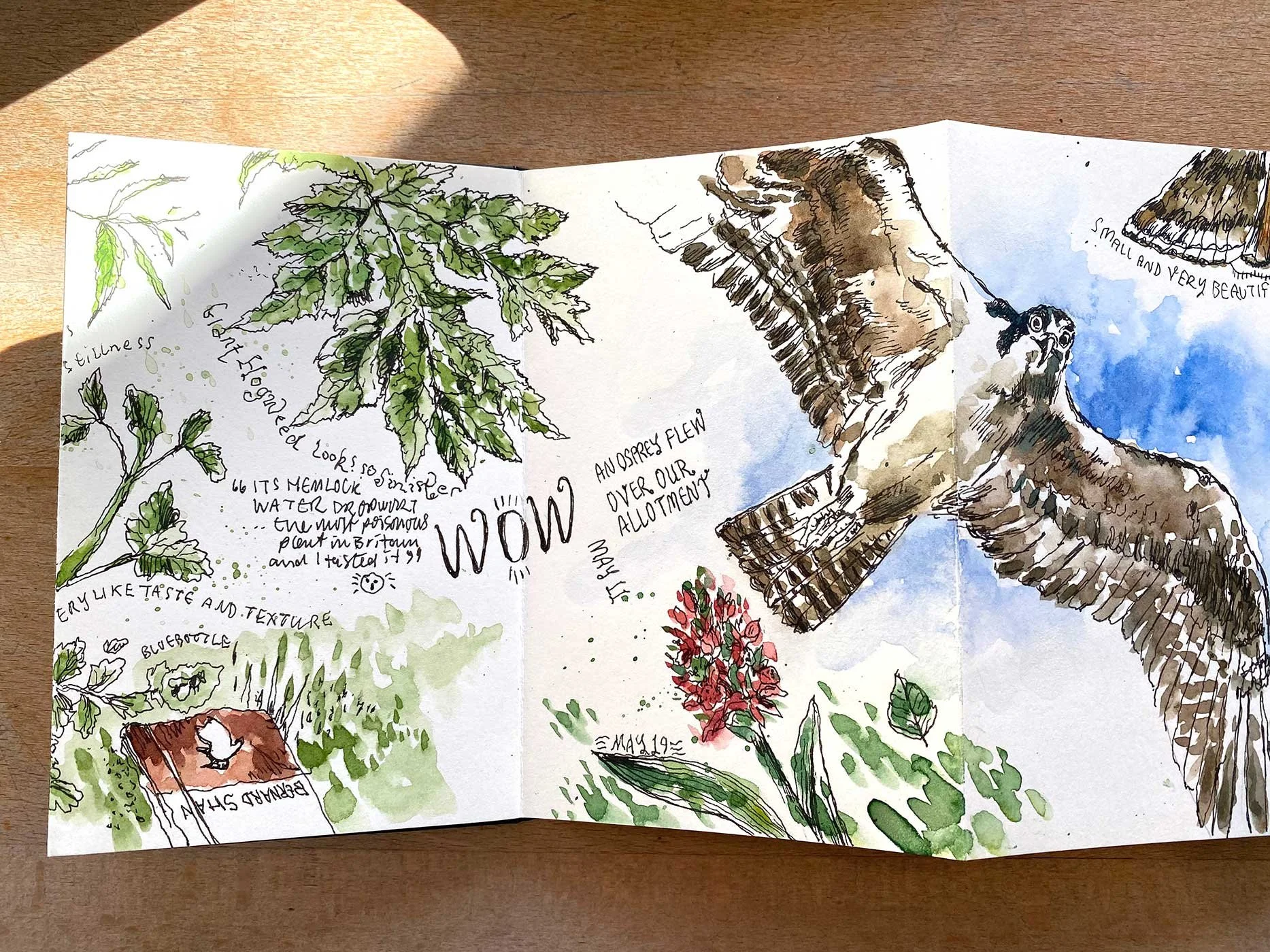 moleskine-pages-13.jpg