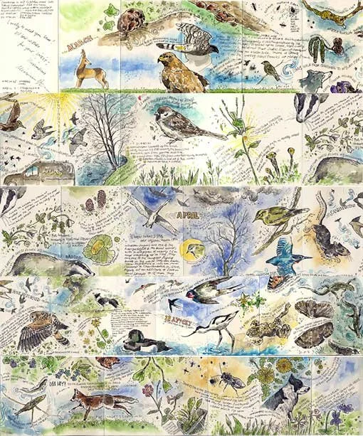 nature-journal-book-5.jpg