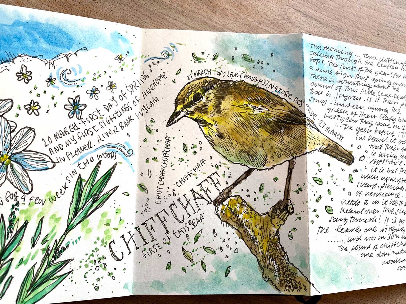 Nature Journaling Resources