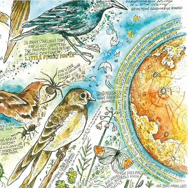 A Shortcut to Nature Journalling in Bardon Mill