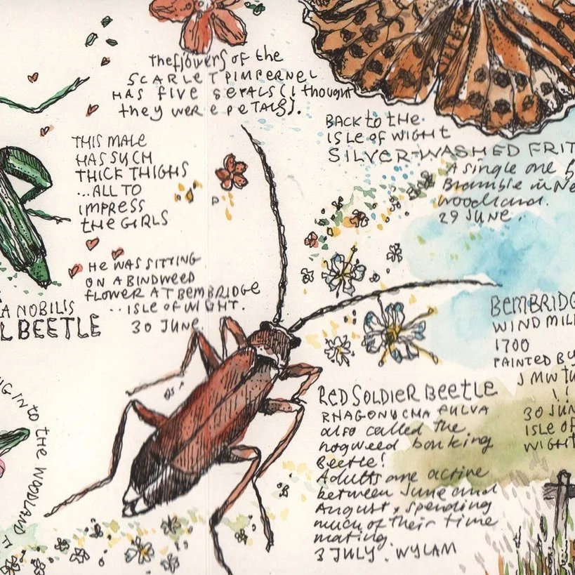 A Shortcut to Nature Journalling Afternoon Session