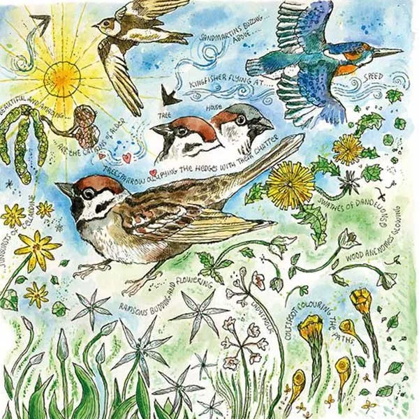 Sedbergh Art Group
