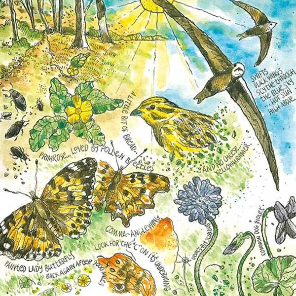 Nature Journalling at Stanhope