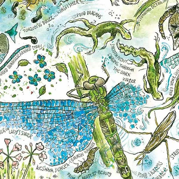Nature Journalling at Swalefest