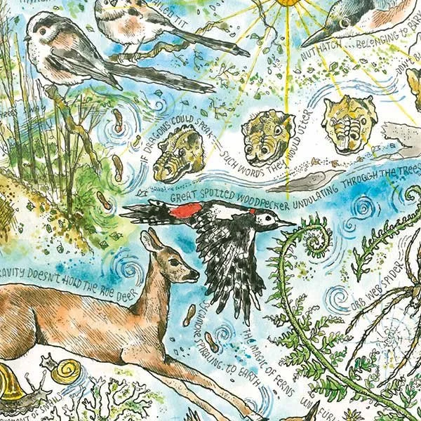 3 Night Introduction to Nature Journaling in Northumberland