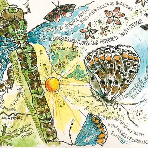 3 Night Introduction to Nature Journaling in the Lake District