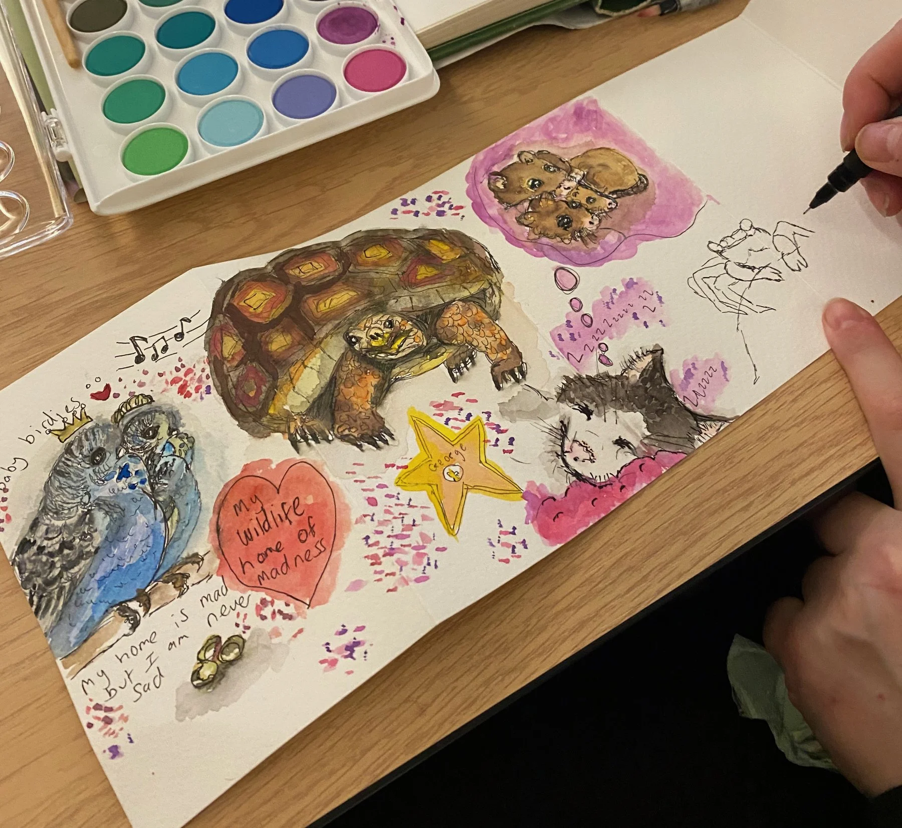 NHSN exploring the archives - December 2025