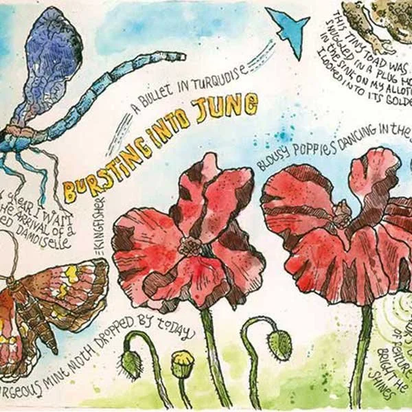 New nature journal workshop at Lucy Locketland