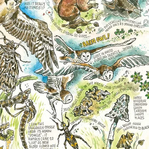 Nature journalling at Amble Library