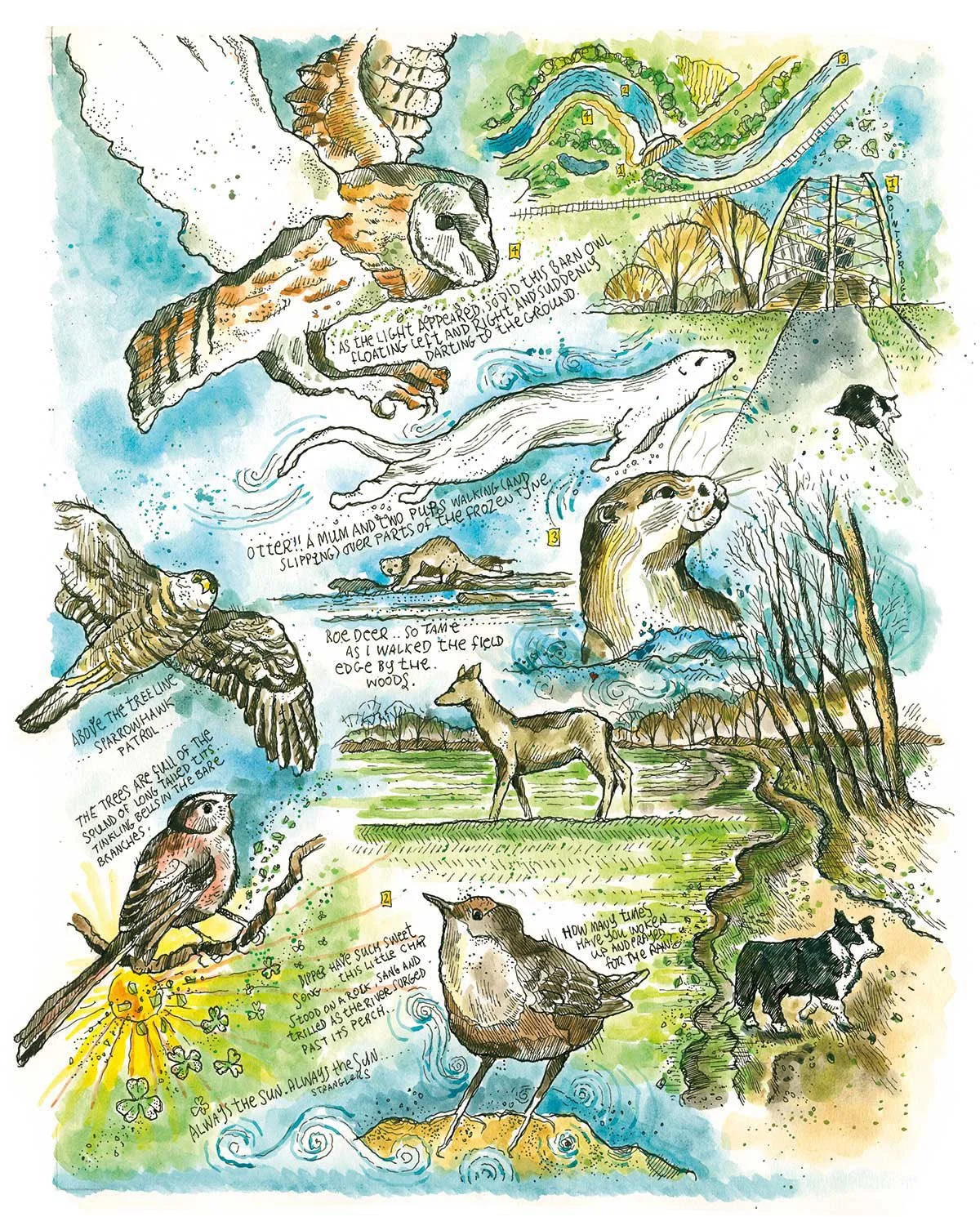 ice-and-otters-print.jpg