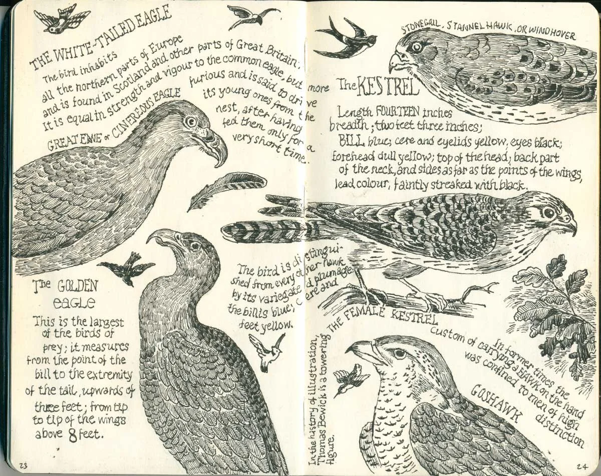moleskine-2016-2l.jpg