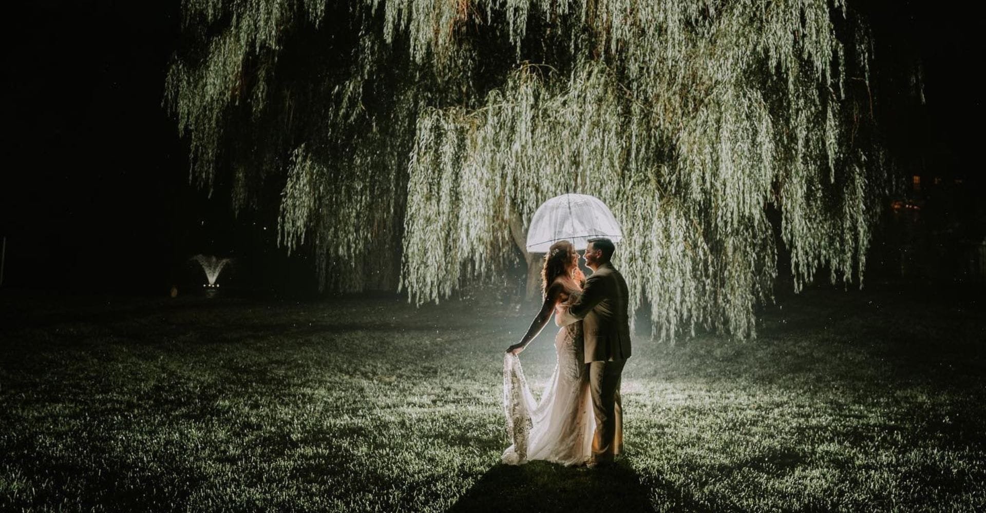 A couple stands under a clear umbrella on a moonlit night, embraced beneath a weeping willow. The scene is romantic and tranquil with soft lighting.