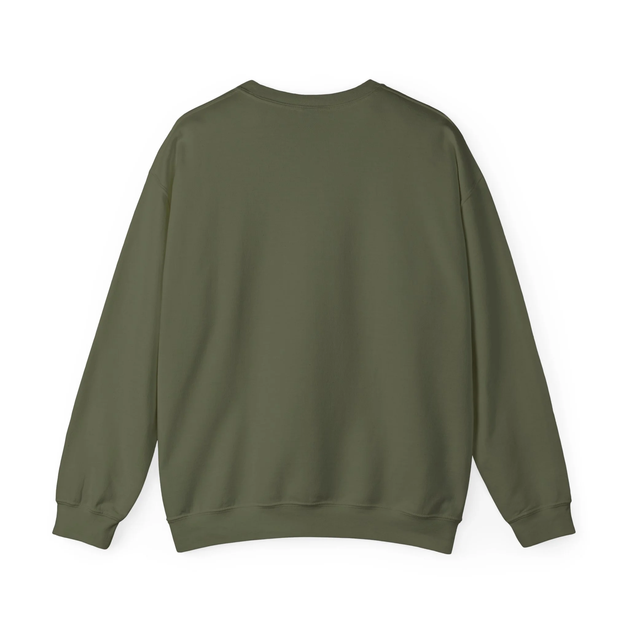 a little dirty. crewneck sweatshirt in Military Green, back view