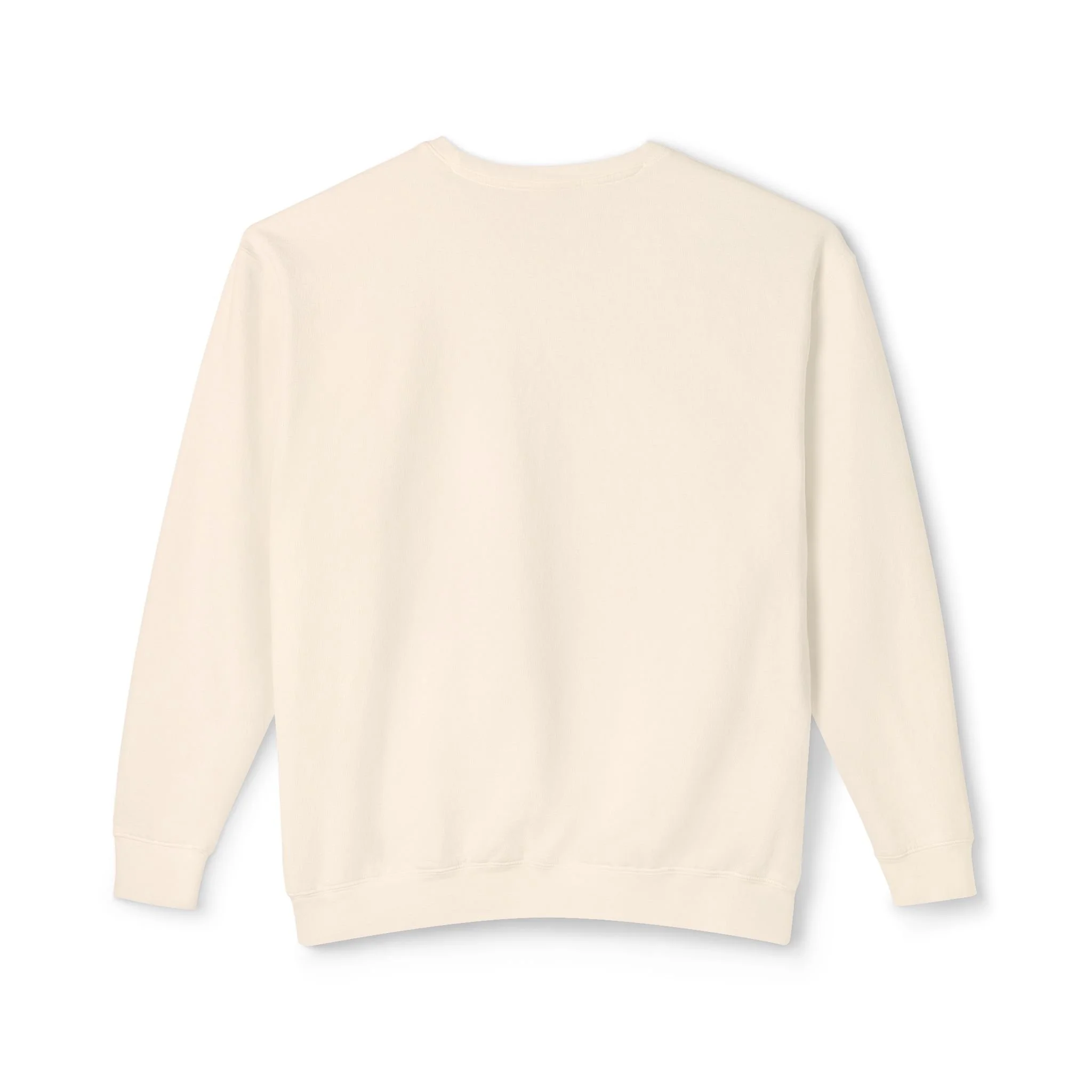 How Dirty? Yes., back of the crewneck sweatshirt in Ivory. The back is plain, with no print.