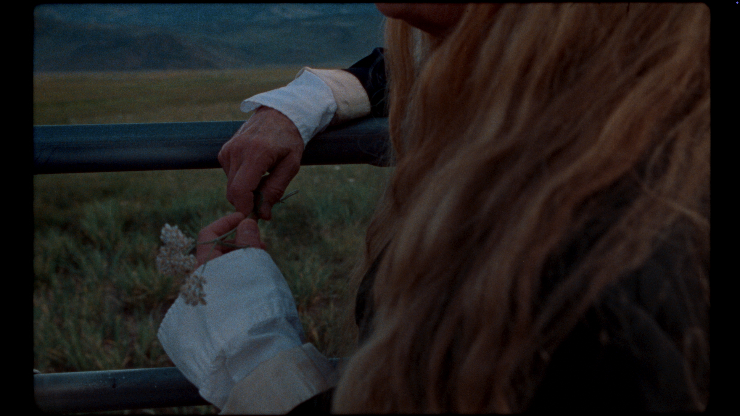 Screenshot 2025-09-05 at 12.09.46 AM.png