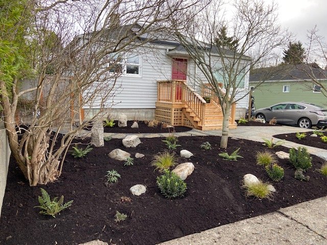 Greyell after front.jpg