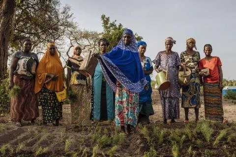 IOM sudan.jpg