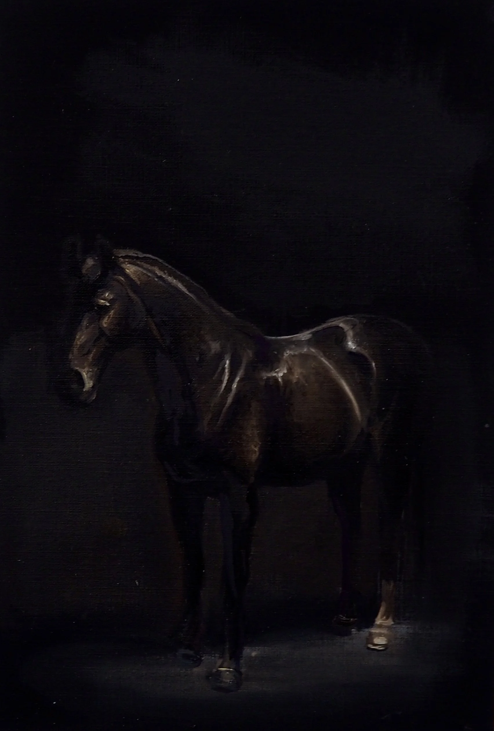 Annabel Cator 
spaces in/between  
triptych | oil on canvas paper  
21cm x 30cm 