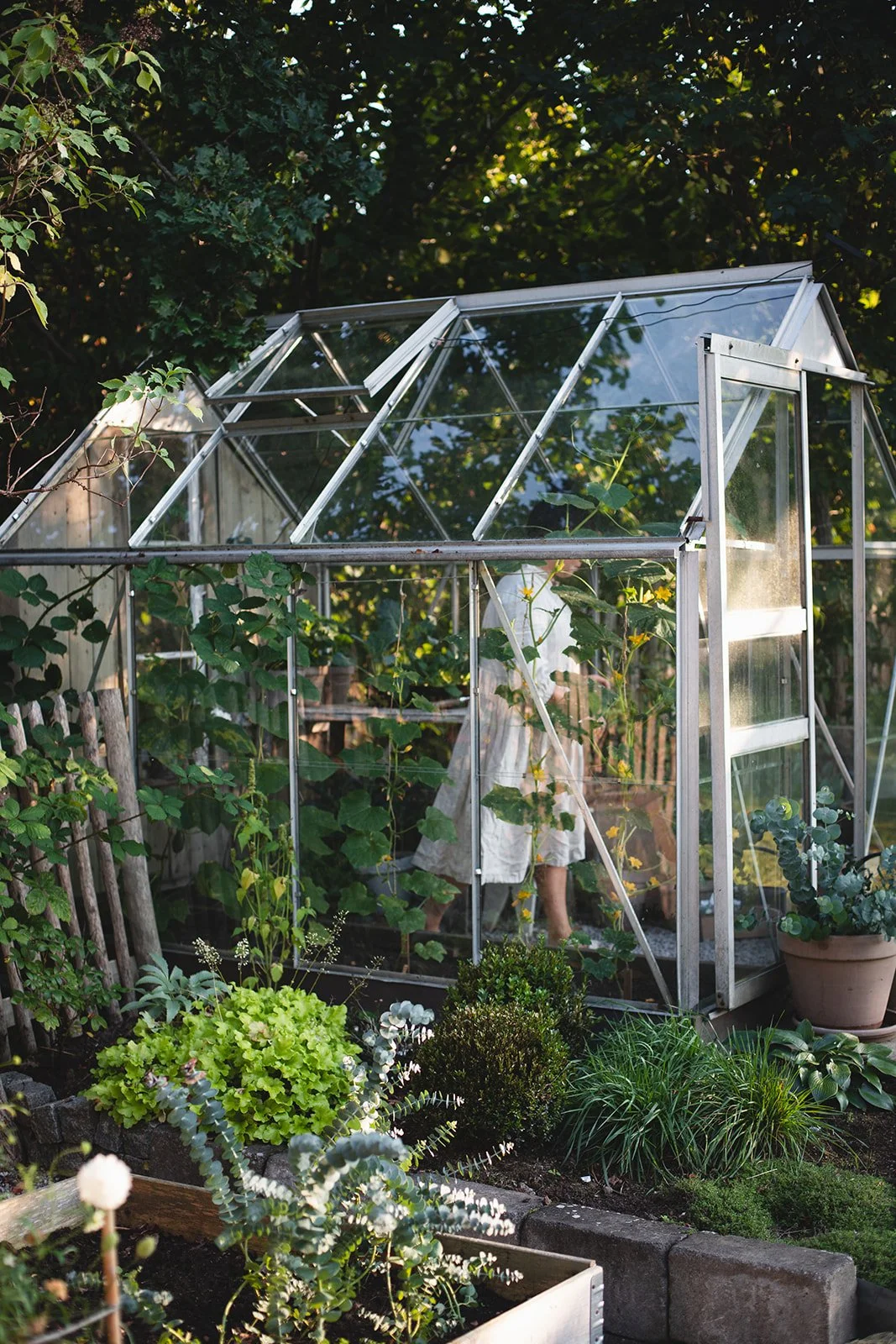 Elisabeth Grindmayer_Gardenphotography 2960_websize.jpg