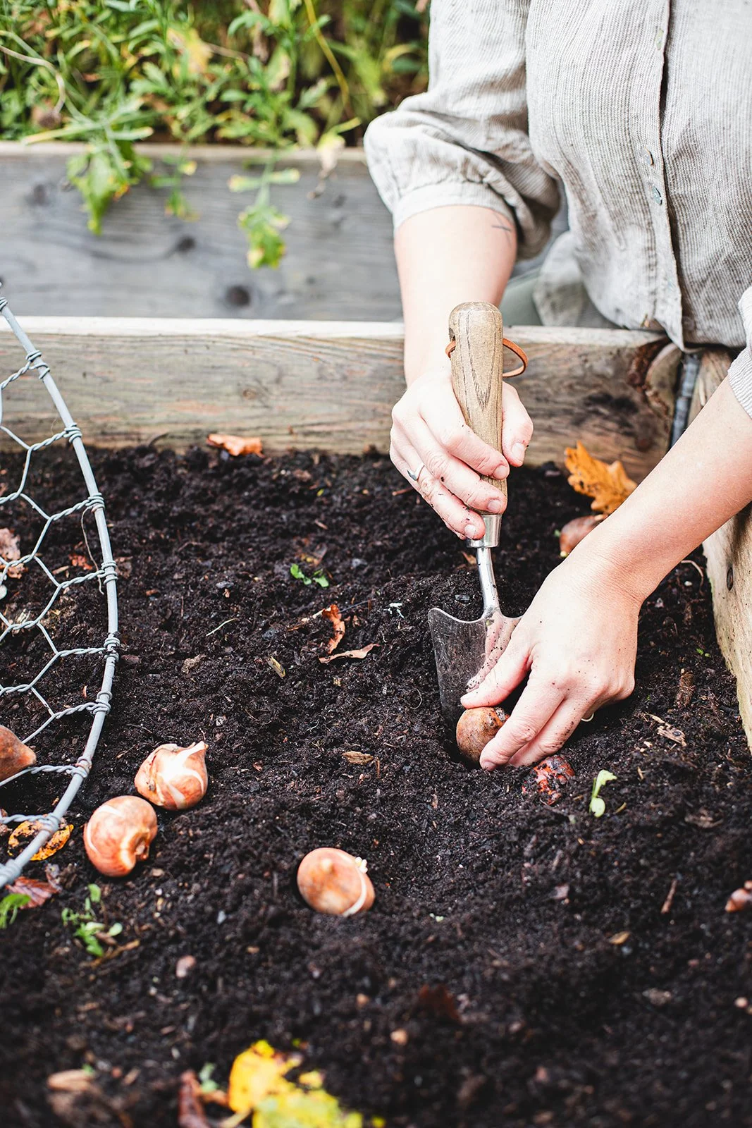 Elisabeth Grindmayer_H3650_websize.jpg