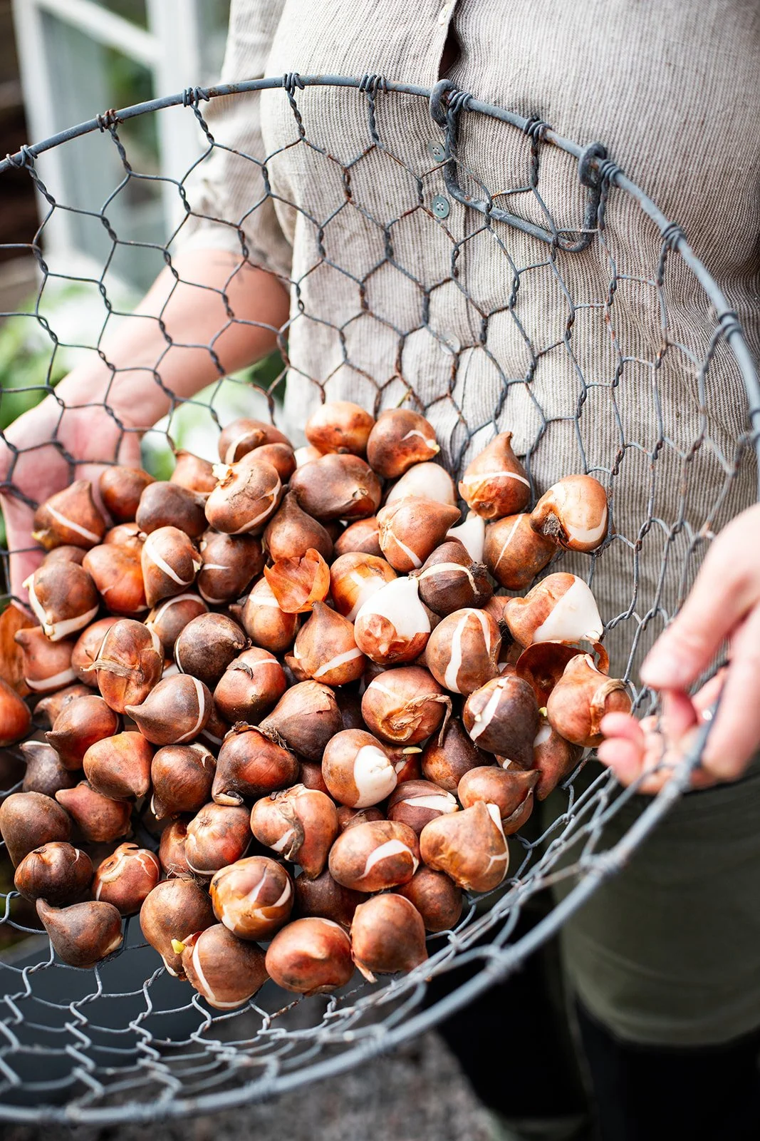 Elisabeth Grindmayer_Herbst 3625_websize.jpg