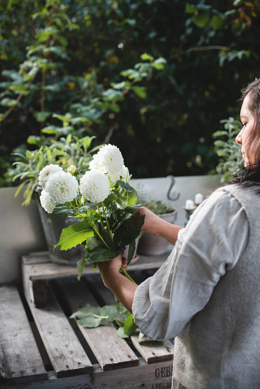 Elisabeth Grindmayer_Herbst 3306_websize.jpg