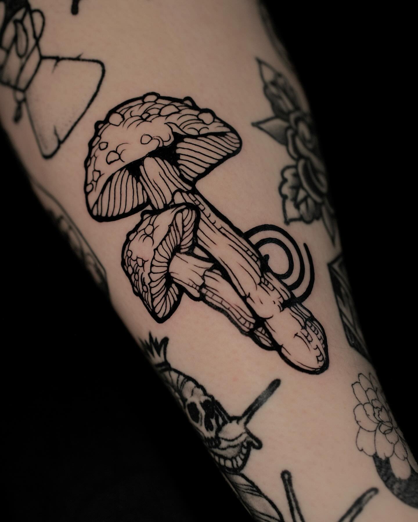 𝖛 𝖎 𝖘 𝖎 𝖔 𝖓 𝖘

Amanita Muscaria also known as Fly Agaric mushrooms, with an ancient spiral, from my latest flash drop. I&rsquo;m working on some new flash in the background that I hope to release soon. In the meantime I&rsquo;m honoured to hav